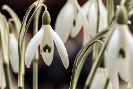 Wanderungen und Fotokurse im Frühjahr mit Foto-Wandern.com