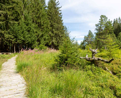Fotoreise Schweiz - Appenzellerland