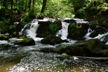 Fotokurs im Selketal