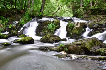 Fotokurs im Selketal