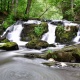 Fotokurs im Selketal