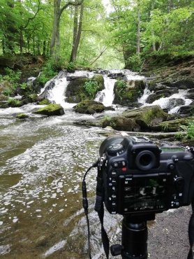 Fotokurs im Selketal