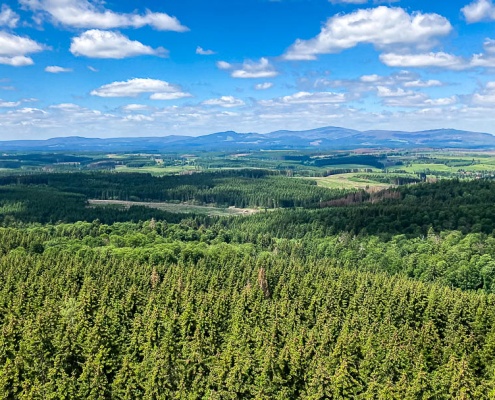 Blick über den Südharz
