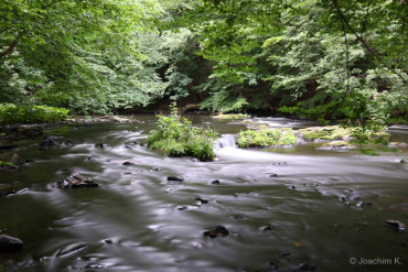 Fotowanderung durch das Bodetal © Joachim K.