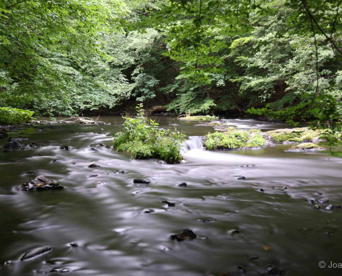 Fotowanderung durch das Bodetal © Joachim K.