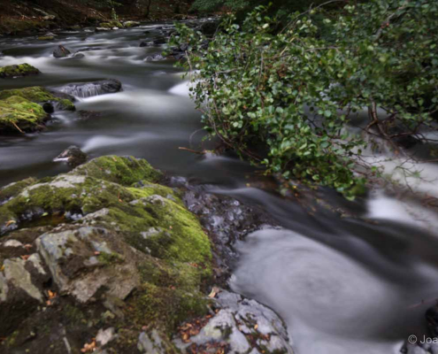 Fotowanderung durch das Bodetal © Joachim K.