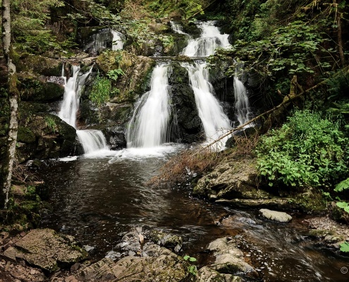 Fotokurs-Wanderwoche im Hochschwarzwald Fotokurs-Wanderwoche im Hochschwarzwald