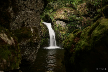 Fotokurs-Wanderwoche im Hochschwarzwald
