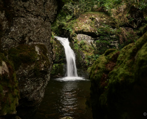 Fotokurs-Wanderwoche im Hochschwarzwald Fotokurs-Wanderwoche im Hochschwarzwald