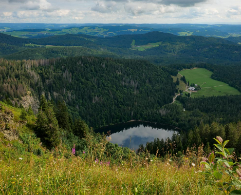 Fotokurs-Wanderwoche im Hochschwarzwald