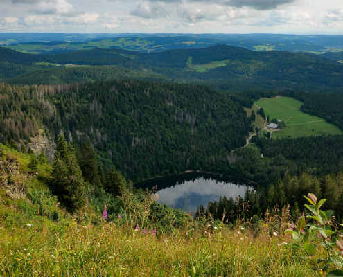 Fotokurs-Wanderwoche im Hochschwarzwald Fotokurs-Wanderwoche im Hochschwarzwald
