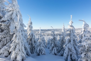 Winter-Fotokurse 2022 im Harz – eine erste Vorschau