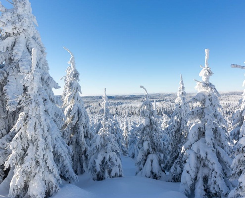 Winter-Fotokurse 2022 im Harz – eine erste Vorschau