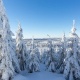 Winter-Fotokurse 2022 im Harz – eine erste Vorschau