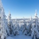 Winter-Fotokurse 2022 im Harz – eine erste Vorschau