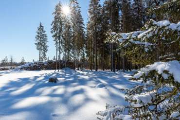 Neujahrsgrüße von Fot-Wandern.com