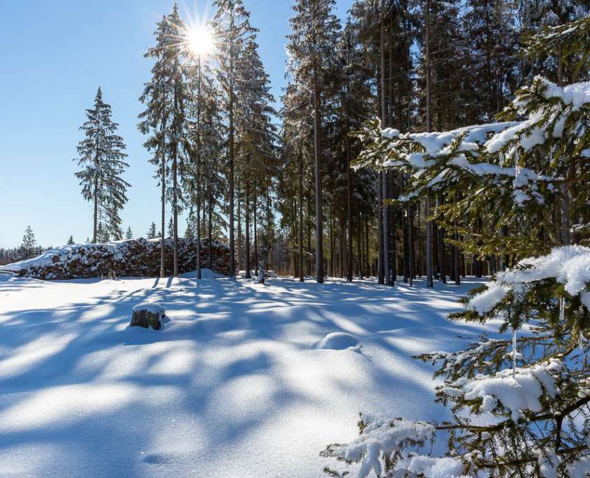 Neujahrsgrüße von Fot-Wandern.com