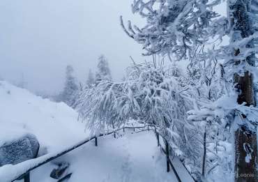Fotowanderung zum Sonnenuntergang auf den Achtermann im Harz