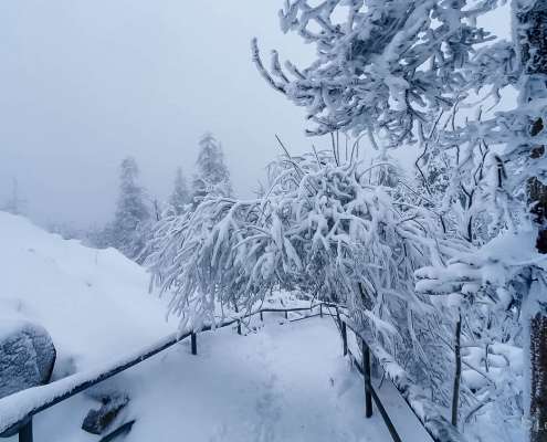 Fotowanderung zum Sonnenuntergang auf den Achtermann im Harz