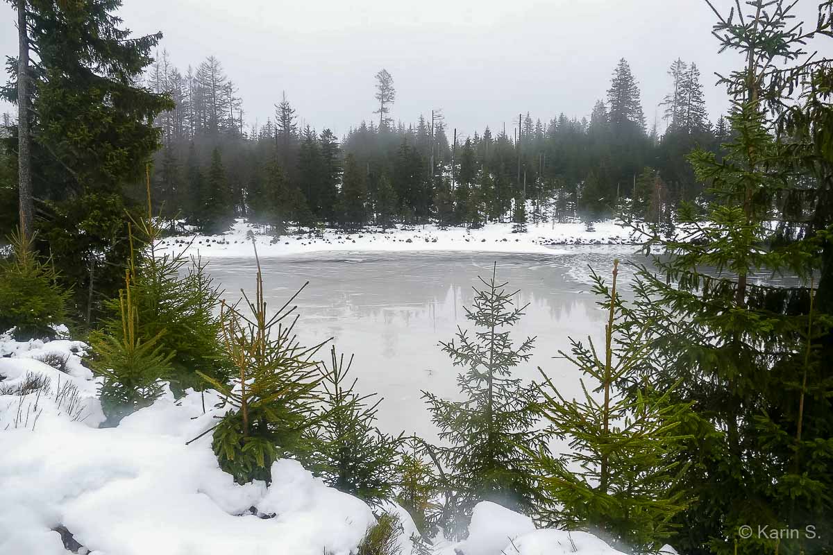 Winter-Fotowanderung als Einzelcoaching um den Oderteich