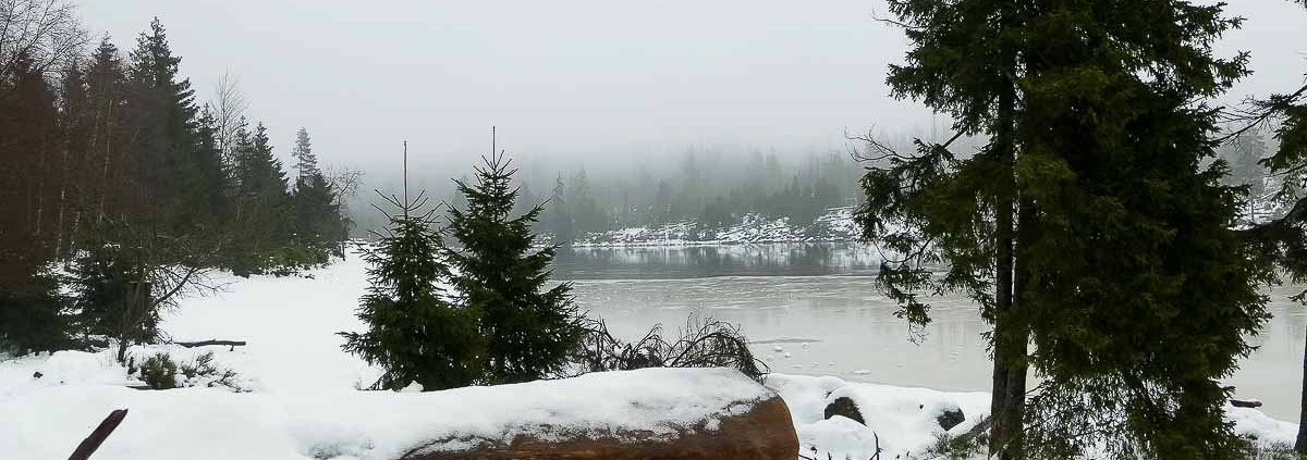 Winter-Fotowanderung als Einzelcoaching um den Oderteich