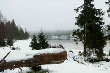 Winter-Fotowanderung als Einzelcoaching um den Oderteich