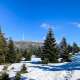 Winter-Fotokurse im Harz - Februar 2022