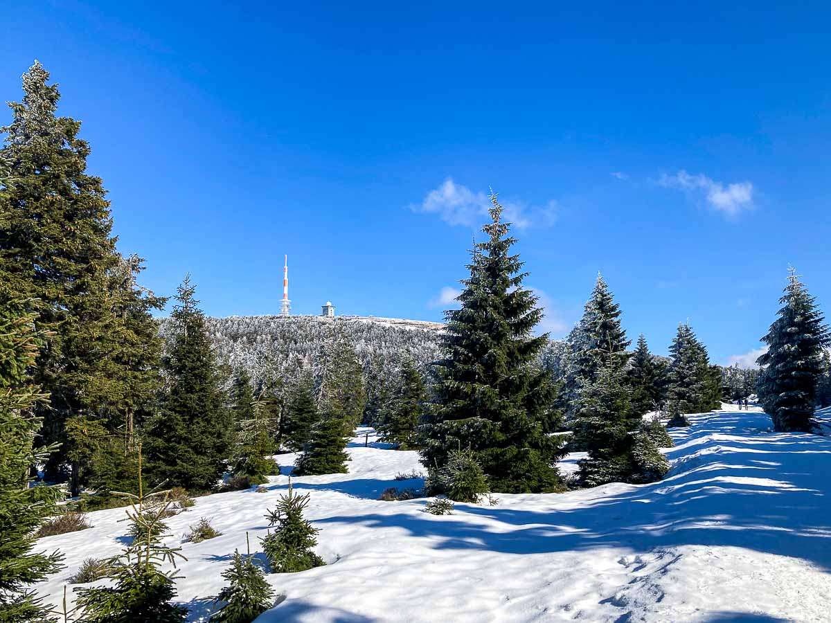 Winter-Fotokurse im Harz - Februar 2022