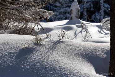 Winter-Fotoworkshop-Wochenende im Harz mit Foto-Wandern.com
