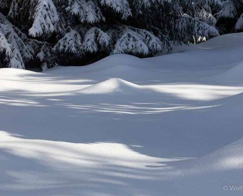 Winter-Fotoworkshop-Wochenende im Harz mit Foto-Wandern.com