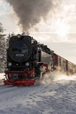 Winter-Fotoworkshop-Wochenende im Harz mit Foto-Wandern.com