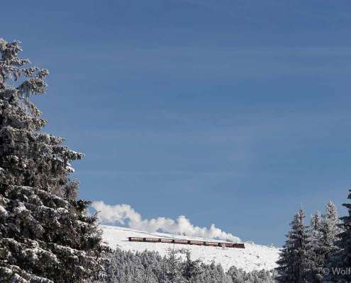 Winter-Fotoworkshop-Wochenende im Harz mit Foto-Wandern.com