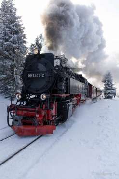 Winter-Fotoworkshop-Wochenende im Harz mit Foto-Wandern.com