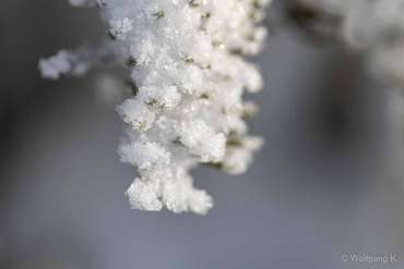 Winter-Fotoworkshop-Wochenende im Harz mit Foto-Wandern.com