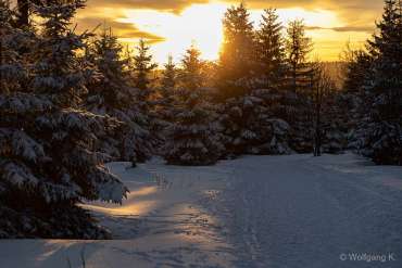 Winter-Fotoworkshop-Wochenende im Harz mit Foto-Wandern.com