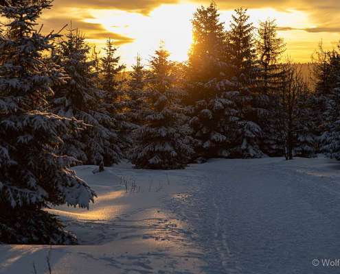 Winter-Fotoworkshop-Wochenende im Harz mit Foto-Wandern.com