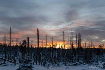 Winter-Fotoworkshop-Wochenende im Harz mit Foto-Wandern.com
