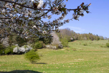 Fotowanderung auf dem Thüringer Urwaldpfad - Rüdigsdorfer Schweiz