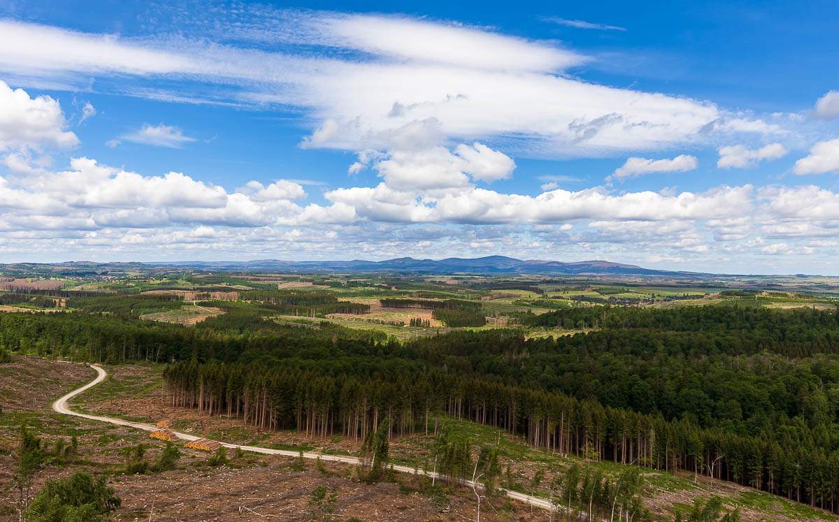 Blick vom Carlshausturm in Richtung Brocken und den Wurmberg