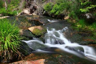 Fotokurs Langzeitbelichtung im Nationalpark Harz