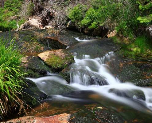 Fotokurs Langzeitbelichtung im Nationalpark Harz