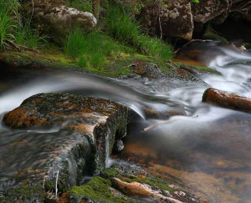 Fotokurs Langzeitbelichtung im Nationalpark Harz