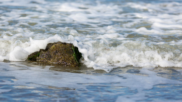 Fotoreise Ostseeinsel Rügen