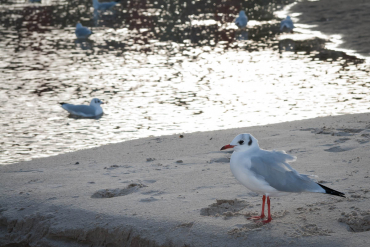 Fotoreise Ostseeinsel Rügen