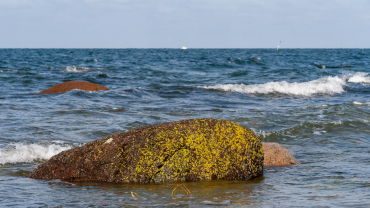 Fotoreise Ostseeinsel Rügen