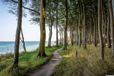 Fotoreise Ostseeinsel Rügen