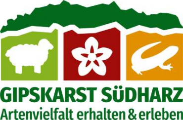 Gipskarst Südharz