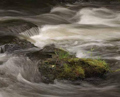 Fotoworkshop-Wochenende im Harz – Bode