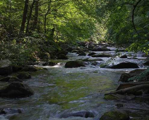 Fotoworkshop-Wochenende im Harz – Bodetal