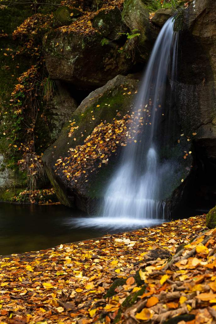 Fotoreise Sächsische Schweiz - Gelobtbach-Wasserfall